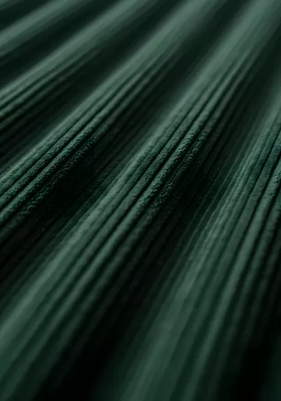 Imagen PNG para descargar